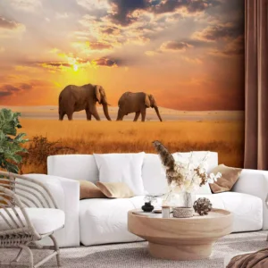 Custom Photo Wall Murals