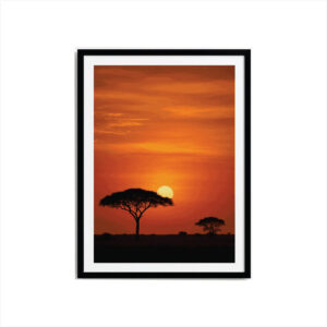 Framed Poster Prints Wall Art in Nigeria
