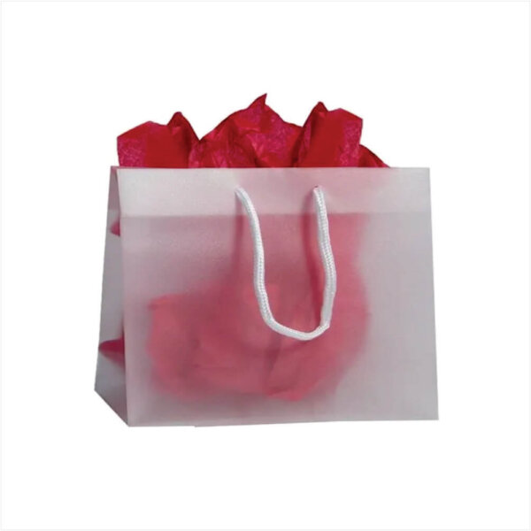 Frosted Plastic Shopping Bags Frosted Plastic Shopping Bags in Nigeria | Custom Luxury Retail Packaging
