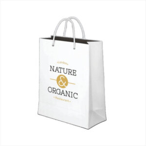Custom Paper Bag Printing in Nigeria | Branded Shopping & Packaging Bags
