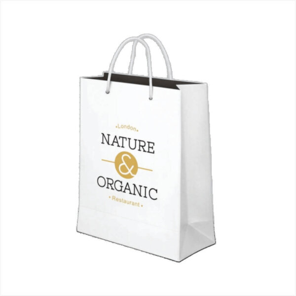 Custom Paper Bag Printing in Nigeria | Branded Shopping & Packaging Bags