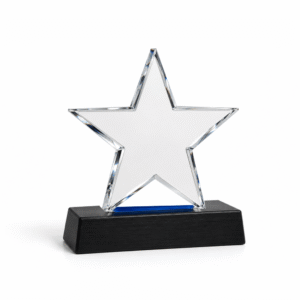 Acrylic Star Award | Custom Star Trophies & Awards