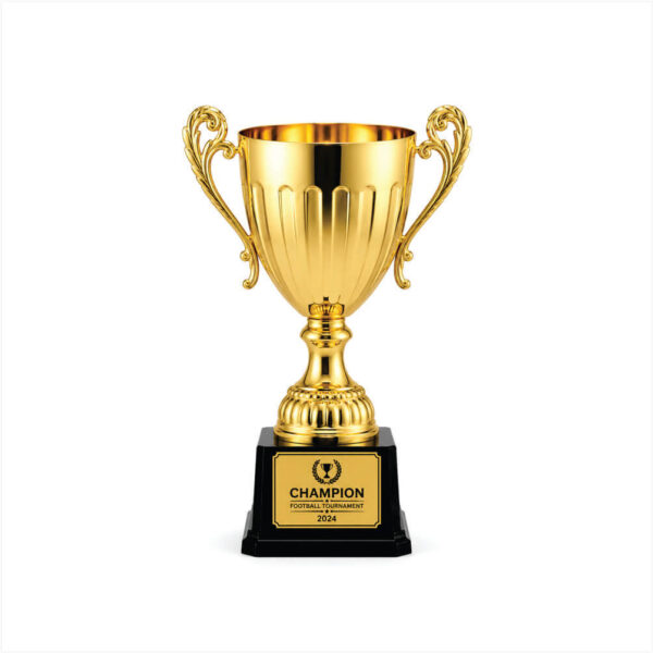 Gold Cup Trophy Gold Cup Trophy in Nigeria | Custom Sports & Corporate Awards