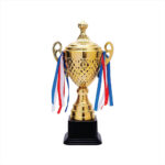 Custom Sports Trophy Awards | Personalized Sports Trophies Nigeria