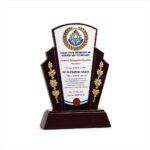 Wooden Victory Trophy | Custom Sports Trophy in Nigeria